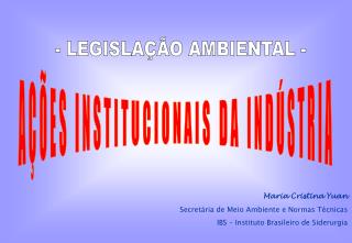 AÇÕES INSTITUCIONAIS DA INDÚSTRIA
