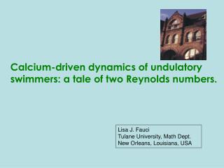 Lisa J. Fauci Tulane University, Math Dept. New Orleans, Louisiana, USA