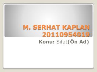 M. SERHAT KAPLAN 20110954019