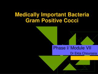 Medically Important Bacteria Gram Positive Cocci