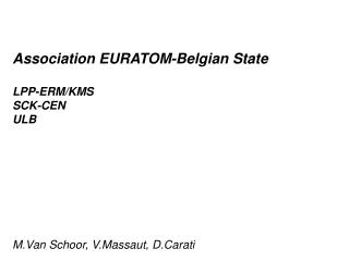 Association EURATOM-Belgian State LPP-ERM/KMS SCK-CEN ULB M.Van Schoor, V.Massaut, D.Carati