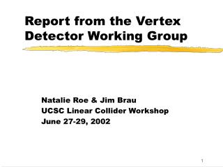 Report from the Vertex Detector Working Group