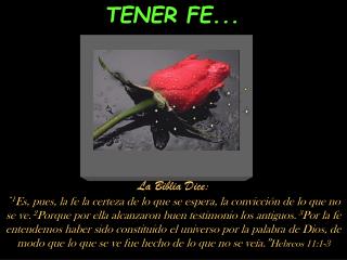 TENER FE...