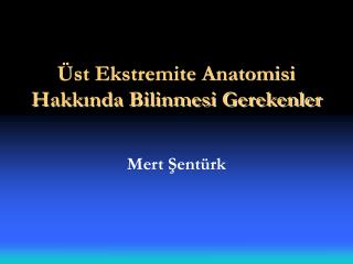 Üst Ekstremite Anatomisi Hakkında Bilinmesi Gerekenler