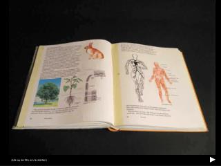 Animatie uit de boeken