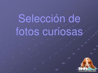 Selección de fotos curiosas