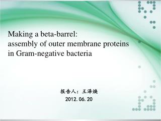 Making a beta-barrel: assembly of outer membrane proteins in Gram-negative bacteria