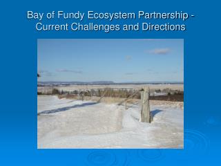 Bay of Fundy Ecosystem Partnership - Current Challenges and Directions