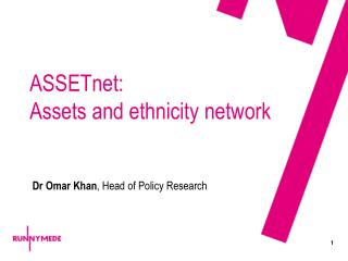 ASSETnet: Assets and ethnicity network