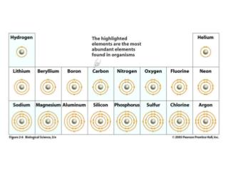 Thalidomide effect – Fig. 3.29