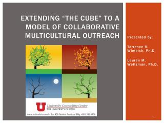 EXTENDING “THE CUBE” TO A MODEL OF COLLABORATIVE Multicultural outreach