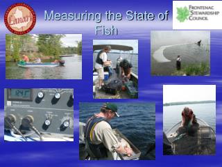 Measuring the State of Fish