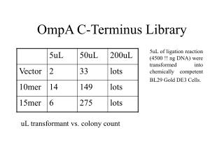 OmpA C-Terminus Library