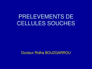 PRELEVEMENTS DE CELLULES SOUCHES Docteur Ridha BOUZGARROU