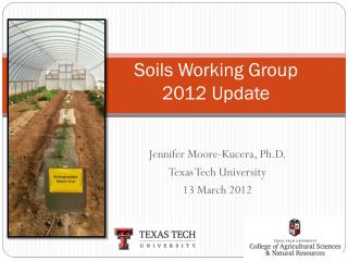 Soils Working Group 2012 Update