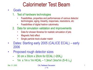 Calorimeter Test Beam