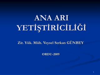 ANA ARI YETİŞTİRİCİLİĞİ