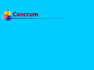 Cancrum