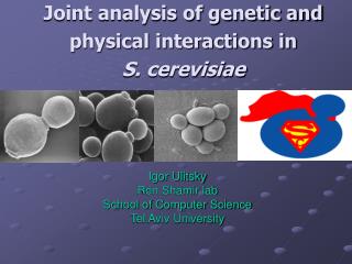 Joint analysis of genetic and physical interactions in S. cerevisiae