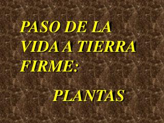 PASO DE LA VIDA A TIERRA FIRME: 		PLANTAS