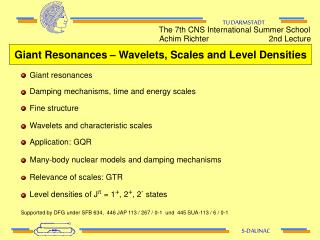 Giant Resonances – Wavelets, Scales and Level Densities