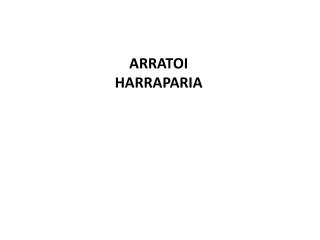 ARRATOI HARRAPARIA