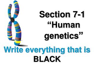 Section 7-1 “Human genetics ”