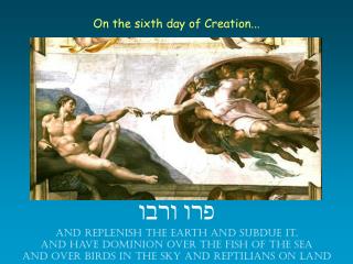 On the sixth day of Creation...