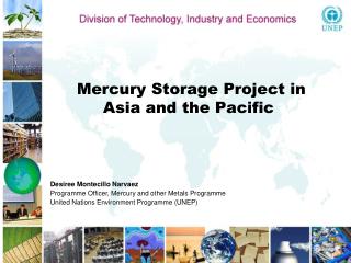 Mercury Storage Project in Asia and the Pacific