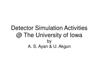Detector Simulation Activities @ The University of Iowa by A. S. Ayan &amp; U. Akgun