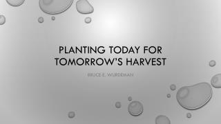 Planting today for tomorrow’s harvest