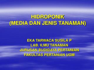 HIDROPONIK (MEDIA DAN JENIS TANAMAN)