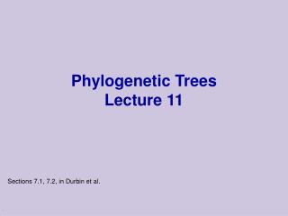 Phylogenetic Trees Lecture 11