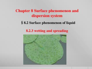 § 8.2 Surface phenomenon of liquid