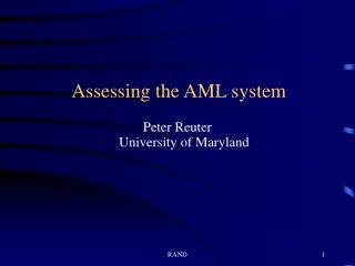 Assessing the AML system