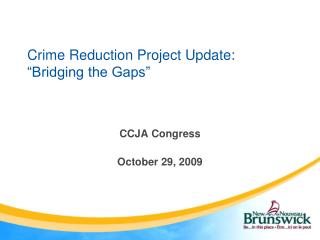 Crime Reduction Project Update: “Bridging the Gaps”