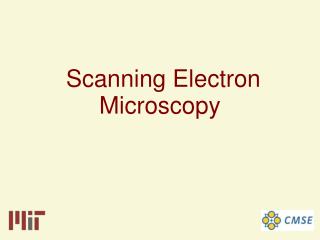 Scanning Electron Microscopy