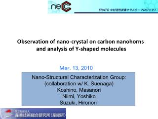 Observation of nano-crystal on carbon nanohorns and analysis of Y-shaped molecules