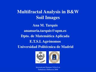 Multifractal Analysis in B&amp;W Soil Images