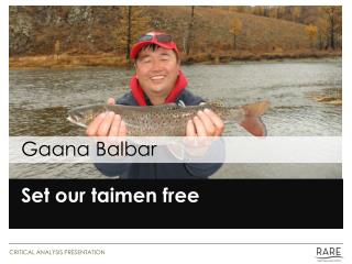 Gaana Balbar Set our taimen free