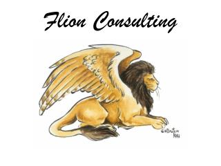 Flion Consulting