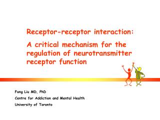 Receptor-receptor interaction: