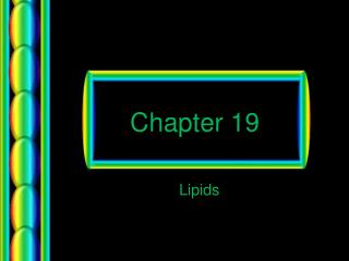 Chapter 19