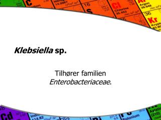 Klebsiella sp.