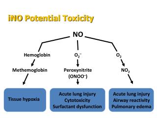 Acute lung injury Cytotoxicity Surfactant dysfunction