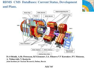 RDMS CMS DataBases: Current Status, Development and Plans.