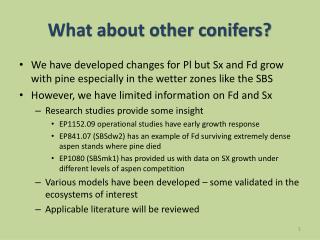 What about other conifers?