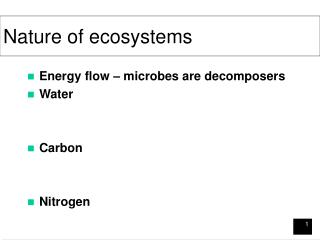 Nature of ecosystems