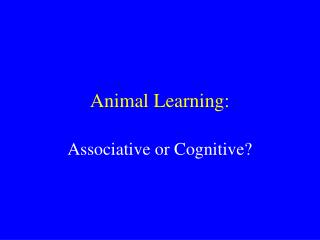 Animal Learning: