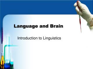 Language and Brain